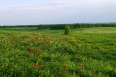P1070076